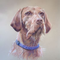 Dog Portrait Painting Commission by Ian Henderson - Redhill Surrey Artist