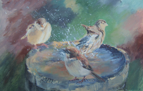 Birdbath - Splosh - Hampshire Artists Gallery - Prints and Cards available - Southampton Art Society and Romsey Art Group member Ruth Lewis