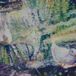 Ducks on Pond – Hartley Wintney Hampshire Fine Artist and Art Tutor Nicholas Walsh