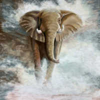 Endangered Elephant – Hampshire Artists Gallery – Wildlife Artist Pauline Scott