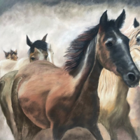 Wild Horses – Society of Equestrian Artists member Pauline Scott – Ringwood Hampshire Pastel Animal Portrait Artist