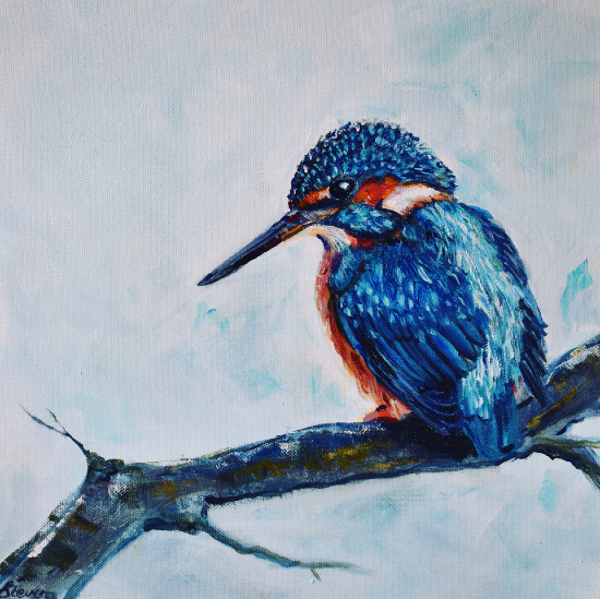 Kingfisher - Series of Bird Prints - Wildlife Artist working in Oils - Lesley Stevens