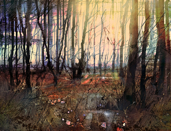 New Forest at Dawn Landscape Painting- Hampshire Gallery - Fine Art Giclee Prints