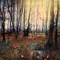 New Forest at Dawn Landscape Painting- Hampshire Gallery – Fine Art Giclee Prints