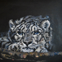 Snow Leopard in Cave – Oil on Canvas – Warsash Hampshire Animal Portrait Artist Lesley Stevens