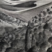 Hampshire and Sussex Downs – Charcoal Landscape Painting – Petersfield Arts and Crafts Society member Eileen Riddiford