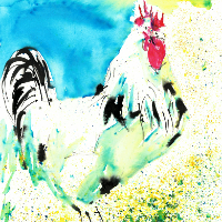 Chicken Painting by Petersfield Animal Artist Alison Udall
