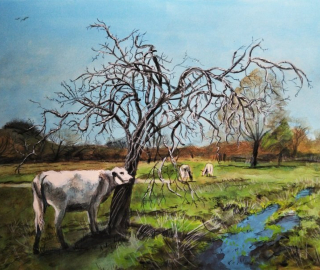 Winchester Hampshire Water Meadow - Tree and British White Cattle - Landscape Art - Martin Southwood