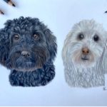 Cockapoos Pet Portrait – Double Commission – New Forest Hampshire Portraiture Artist Darcy Long