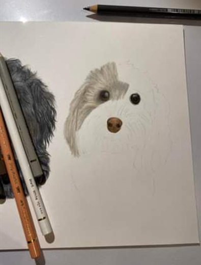 Pet and Animal Portraits by Hampshire Portraiture Artist Darcy Long. Work in progress on the easel