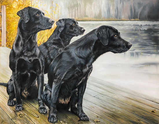 Black Labradors - Lindford, Hampshire Pet Portrait Artist Tricia Findlay - Pastel Art