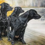 Black Labradors – Lindford, Hampshire Pet Portrait Artist Tricia Findlay – Pastel Art