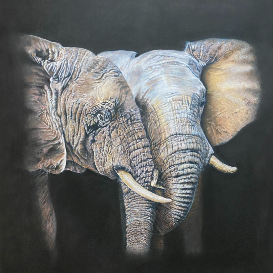 Elephants - Night - Wildlife and Animal Pastel Artist Tricia Findlay - Lindford Hampshire
