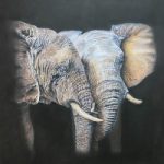 Elephants – Night – Wildlife and  Animal Pastel Artist Tricia Findlay – Lindford Hampshire