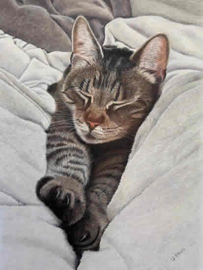 Tabby Cat - Artwork by Chineham Hampshire Artist Carol Fetherston